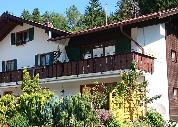 Allgäu Sonne